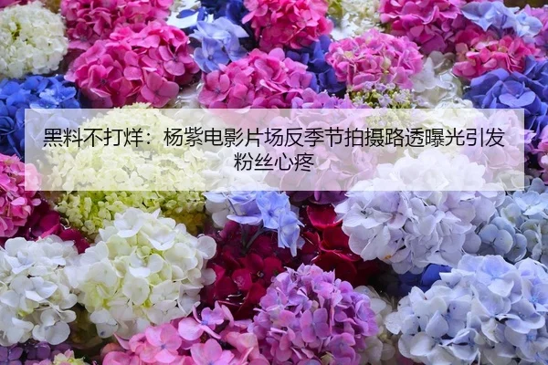 黑料不打烊：杨紫电影片场反季节拍摄路透曝光引发粉丝心疼